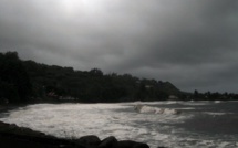 Leptospirose : quatre nouveaux cas en deux semaines