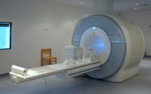 Un ver qui parasite les serpents découvert dans le cerveau d'une Australienne