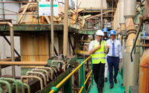 La Réunion: les planteurs de canne à sucre s'inquiètent d'une production en berne