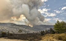 Incendies de forêt en Grèce : au moins 150.000 hectares touchés