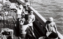 Avant-première du documentaire « Poe rava, histoire d’une perle », réalisé par Philippe Fréling