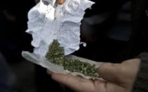 Pas de chance pour le dealer : il propose du cannabis à des policiers et finit au poste