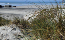 Les milliards de tonnes de sable arrachées à la mer menacent l'environnement, alerte l'ONU