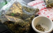 Les premiers joints se sont, légalement, allumés à Washington