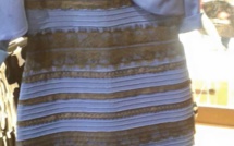 Et vous, vous la voyez de quelles couleurs, cette robe ?