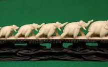 Pointée du doigt, la Chine interdit l'importation d'ivoire sculpté durant un an