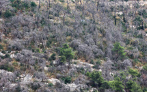 Dans le nord du Liban, pénuries d'eau et feux de forêt inquiètent les habitants