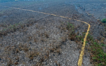 Amazonie brésilienne: un incendie criminel réduit en cendres un projet de reforestation