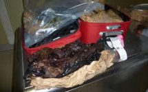 Pakistan: saisie record de viande de tortue illégale, destinée à la Chine