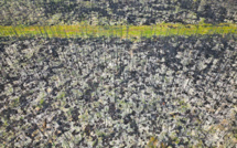 Le Canada meurtri par la pire saison des feux de son histoire