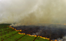 Indonésie: des incendies de tourbières provoquent des fermetures d'écoles