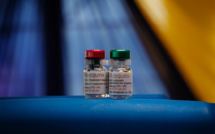 L'OMS donne le feu vert à un deuxième vaccin antipaludique pour les enfants