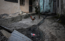 À Mayotte, les bidonvilles sévèrement touchés par la crise de l'eau