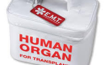 Amendement sur les dons d'organes: les associations de greffés divisées