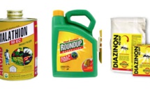 Cinq pesticides classés cancérogènes "probables" ou "possibles" par l'agence du cancer de l'OMS