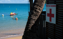 Nouvelle-Calédonie: le tribunal administratif suspend l'abattage des requins