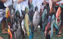 Pêche sous marine : Les champions de Polynésie par équipes 2014 connus