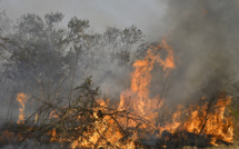 Bolivie: fermeture d'écoles en raison des fumées dégagées par d'immenses feux de forêts
