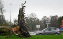 La tempête Ciaran fait au moins 5 morts et perturbe les transports en Europe