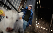 Maladie touchant les bovins: "tempête sanitaire" dans le sud-ouest qui attend des aides