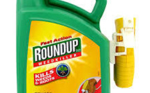 Pesticides cancérogènes "possibles": Royal contre une "vente libre" aux particuliers