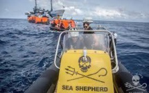 Sea Shepherd au secours de l'équipage d'un bateau soupçonné de pêche illégale