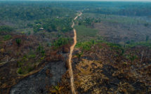 Baisse drastique de la déforestation en Amazonie brésilienne mais les incendies menacent