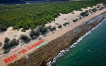 Trois banques françaises renoncent à investir dans un vaste projet minier en Australie