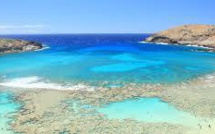 L'acidification des océans, responsable de la plus grande extinction d'espèces