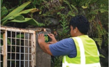 La moitié des maisons de Faa'a déjà numérotées