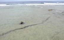 La connaissance du risque tsunami autour de Moruroa va être affinée