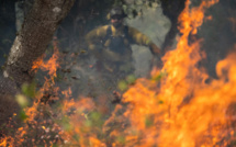 Pour lutter contre les incendies, la Californie combat le feu par le feu
