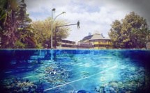 Environnement: le photomontage d'un étudiant polynésien