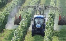 Décès d'un ouvrier viticole exposé aux pesticides: la justice ordonne une expertise médicale
