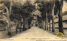 Première Guerre mondiale : Papeete s'était préparé