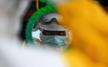 Des herbicides seraient à l'origine de la maladie "mystérieuse" au Nigeria, selon l'OMS