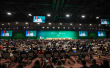 La COP28 à Dubaï s'ouvre en fanfare avec la naissance du fonds pour les dommages climatiques