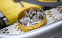 Sachets de nicotine ou de tabac: intoxications en hausse, surtout chez les jeunes, alerte l'Anses