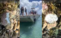 ​Barge à Teahupo'o : Le parquet ouvre une enquête