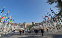 COP28 : les Emirats proposent un compromis sur les fossiles décevant pour des ONG et certains pays