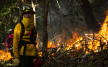 Pour lutter contre les incendies, la Californie combat le feu par le feu
