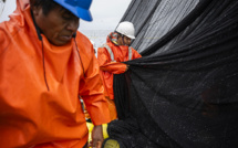 Pérou: l'industrie de la pêche dans la tourmente du réchauffement des océans