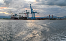 Guadeloupe: saisie de plus de 200 tonnes de riz contaminé aux pesticides et fongicides