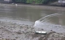 Un mini-tsunami touche des îles du sud du Japon