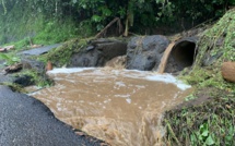 Leptospirose, la vigilance est de mise