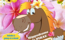 Journée polynésienne du cheval à l'Hippodrome de Pirae