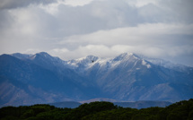 Début d'un épisode de froid, les pouvoirs publics vigilants