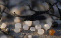 Les plages du nord-ouest de l'Espagne infestées de micro-billes de plastique