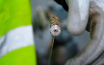 Google et le Chili construiront un cable de fibre optique sous-marin entre Océanie, Asie et Amérique du sud