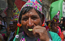 Bolivie: rassemblements pour mâcher et défendre la coca, plante sacrée